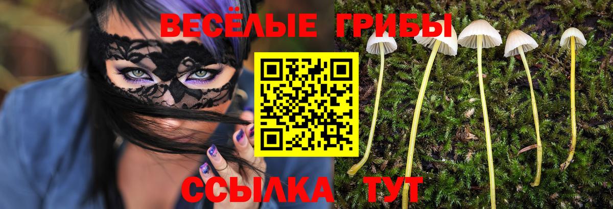 Псилоцибиновые грибы Psilocybe Рыбинск